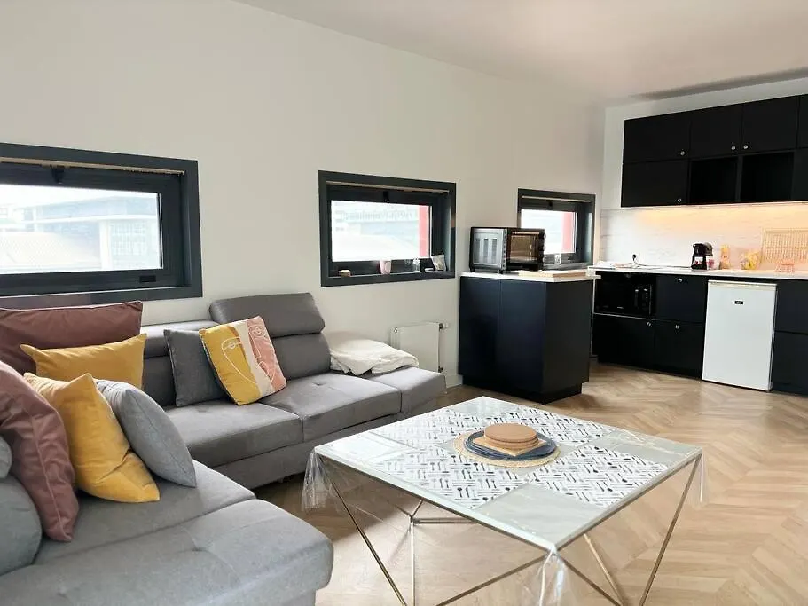 Appartement Prox Gares - Hypercentre Lille 0*,  France